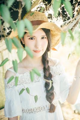 电视剧网